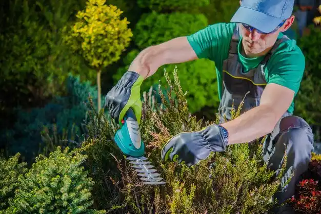 landscaping services Batesville